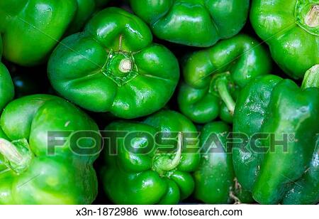 Green peppers View Large Photo Image Stock Photograph - Green peppers. Fotosearch