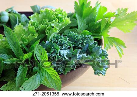 Green salad, coriander leaves,. View Large Photo Image Stock Photography - Green salad, coriander leaves,.. Fotosearch