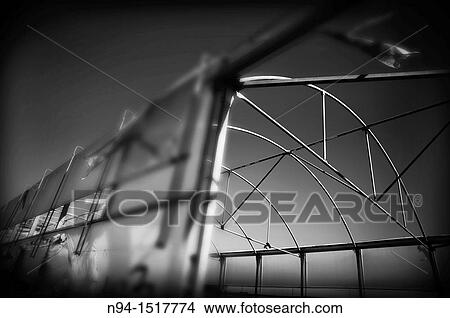 Picture - Greenhouse dilapidated by neglect of the rural area of Almeria Andalusia Spain. Fotosearch
