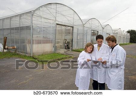 Greenhouses, Departamento de Producci? n y Protecci? n Vegetal, Neiker Tecnalia, Instituto de Investigaci? n y Desarrollo Agrario, Ganadero, Forestal y del Medio Natural, Derio, Bizkaia, Euskadi, Spain View Large Photo Image Stock Image - Greenhouses, Departamento de Producci? n y Protecci? n Vegetal, Neiker Tecnalia, Instituto de Investigaci? n y Desarrollo Agrario, Ganadero, Forestal y del Medio Natural, Derio, Bizkaia, Euskadi, Spain. Fotosearch