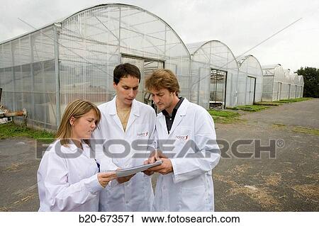 Greenhouses, Departamento de Producci? n y Protecci? n Vegetal, Neiker Tecnalia, Instituto de Investigaci? n y Desarrollo Agrario, Ganadero, Forestal y del Medio Natural, Derio, Bizkaia, Euskadi, Spain View Large Photo Image Stock Image - Greenhouses, Departamento de Producci? n y Protecci? n Vegetal, Neiker Tecnalia, Instituto de Investigaci? n y Desarrollo Agrario, Ganadero, Forestal y del Medio Natural, Derio, Bizkaia, Euskadi, Spain. Fotosearch