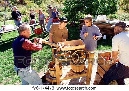 Stock Image - Griding apples to place in manual cedar press. Groveton. New Hampshire. USA. Fotosearch