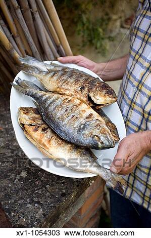 Grilled fish View Large Photo Image Stock Image - Grilled fish. Fotosearch
