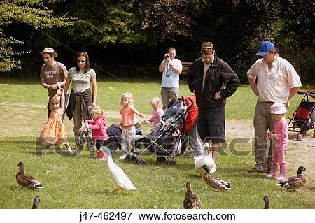 Group of adults and children, in a park, looking at the ducks View Large Photo Image Stock Photo - Group of adults and children, in a park, looking at the ducks. Fotosearch