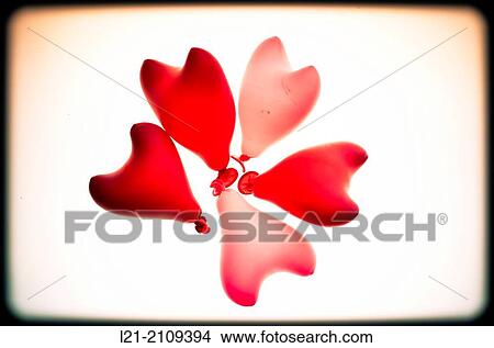 Picture - Group of five heart red shaped balloons.. Fotosearch