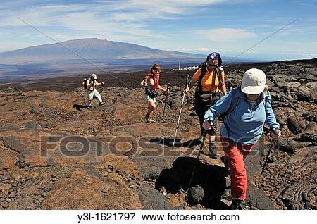 Group of hickers walking on cooled lava, Mauna Loa Volcano Mauna Kea in the background, Big Island, Hawaii Islands, USA View Large Photo Image Stock Photo - Group of hickers walking on cooled lava, Mauna Loa Volcano Mauna Kea in the background, Big Island, Hawaii Islands, USA. Fotosearch