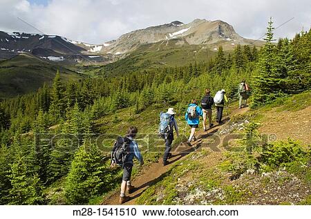 Group of hikers on the Skyline Trail, Jasper National Park Alberta Canada View Large Photo Image Stock Image - Group of hikers on the Skyline Trail, Jasper National Park Alberta Canada. Fotosearch