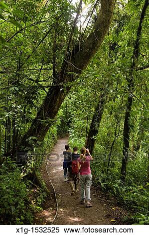 Group of hikers watching wildlife along a trail in the Monteverde Cloud Forest Reserve, Costa Rica View Large Photo Image Stock Photography - Group of hikers watching wildlife along a trail in the Monteverde Cloud Forest Reserve, Costa Rica. Fotosearch