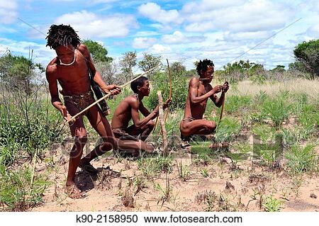 Group of Ju/? hoansi San men on a hunting trip in the African savannah and getting ready for shooting, Namibia, Africa. View Large Photo Image Stock Image - Group of Ju/? hoansi San men on a hunting trip in the African savannah and getting ready for shooting, Namibia, Africa.. Fotosearch