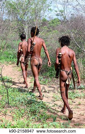Group of Ju/? hoansi San men on a hunting trip in the African savannah, Namibia, Africa. View Large Photo Image Stock Photo - Group of Ju/? hoansi San men on a hunting trip in the African savannah, Namibia, Africa.. Fotosearch