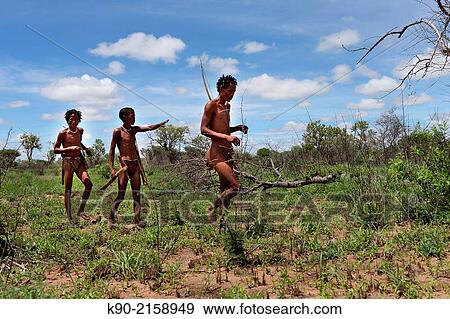 Group of Ju/? hoansi San men on a hunting trip in the African savannah, Namibia, Africa. View Large Photo Image Stock Photo - Group of Ju/? hoansi San men on a hunting trip in the African savannah, Namibia, Africa.. Fotosearch