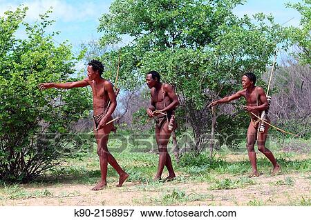 Stock Photo - Group of Ju/? hoansi San men on a hunting trip in the African savannah, carefully approaching their target, Namibia, Africa.. Fotosearch