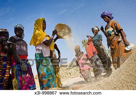Stock Photo - Group of women winnowing millet Takorka Niger. Fotosearch