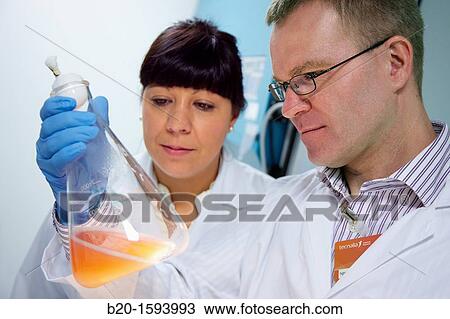 Stock Image - Growth monitoring of carotenoid-producing yeast by incubation orbital, Cleanroom Microbiology, Biotechnology Laboratory, Health Area, Alava Technology Park, Technology Centre, Tecnalia Research & Innovation, Miano, Araba, Basque Country, Spain. Fotosearch