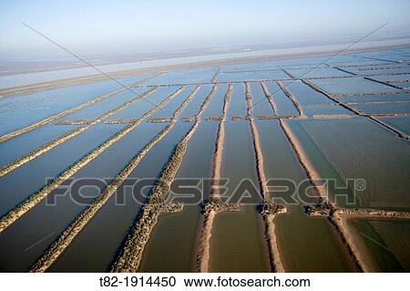 Guadalquivir River aerial view with cultivated fields, Cadiz, Doana Natural Park, Spain, Europe View Large Photo Image Stock Image - Guadalquivir River aerial view with cultivated fields, Cadiz, Doana Natural Park, Spain, Europe. Fotosearch