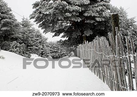 Stock Image - Guadarrama National Park, snowy lanscape with wooden fence, Cotos mountain pass, Rascafria, Navacerrada. Fotosearch