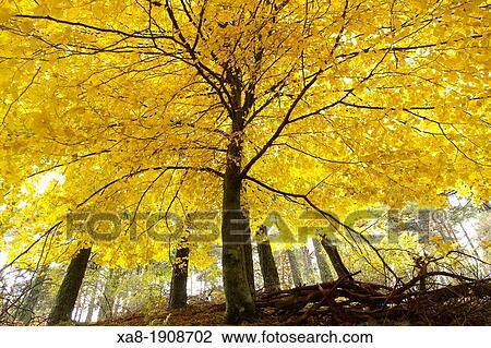 Guadarrama National Park View Large Photo Image Stock Image - Guadarrama National Park. Fotosearch