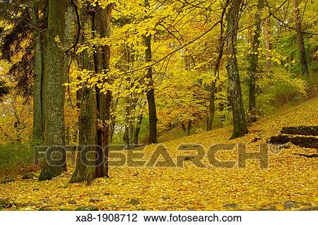 Guadarrama National Park View Large Photo Image Stock Image - Guadarrama National Park. Fotosearch
