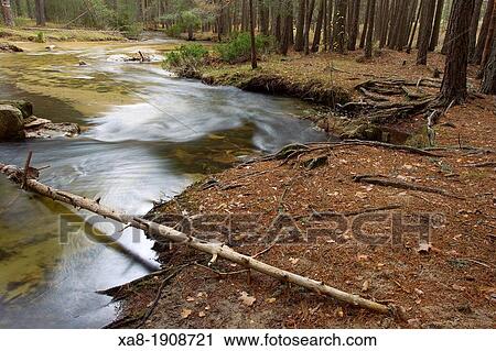 Guadarrama National Park View Large Photo Image Stock Image - Guadarrama National Park. Fotosearch
