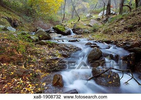 Stock Image - Guadarrama National Park. Fotosearch