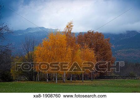 Guadarrama National Park View Large Photo Image Stock Image - Guadarrama National Park. Fotosearch