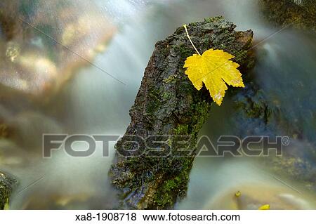 Stock Photo - Guadarrama National Park. Fotosearch