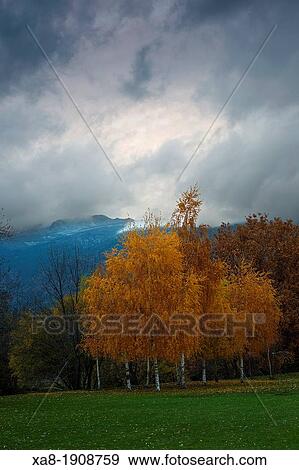 Stock Photo - Guadarrama National Park. Fotosearch