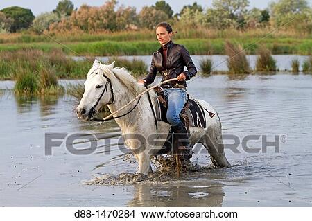 Guardian riding horse, Saintes-Maries-de-la-Mer, Camargue Natural Regional Park, Bouches-du-Rh? ne, France View Large Photo Image Picture - Guardian riding horse, Saintes-Maries-de-la-Mer, Camargue Natural Regional Park, Bouches-du-Rh? ne, France. Fotosearch