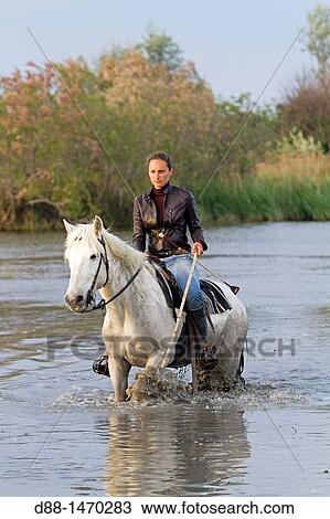 Guardian riding horse, Saintes-Maries-de-la-Mer, Camargue Natural Regional Park, Bouches-du-Rh? ne, France View Large Photo Image Stock Image - Guardian riding horse, Saintes-Maries-de-la-Mer, Camargue Natural Regional Park, Bouches-du-Rh? ne, France. Fotosearch