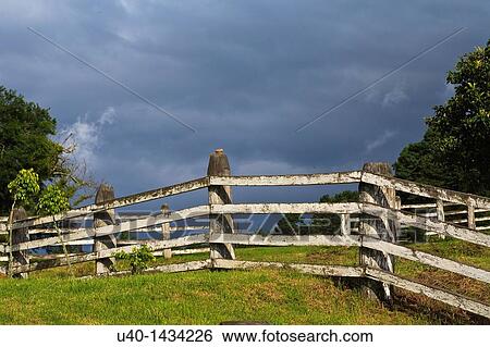 Guatemala, highland farm View Large Photo Image Stock Photograph - Guatemala, highland farm. Fotosearch