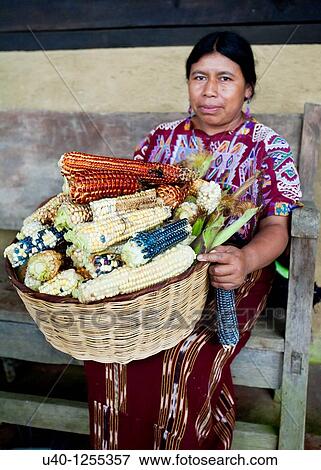 Guatemala, Mayan woman with corn harvest View Large Photo Image Stock Photo - Guatemala, Mayan woman with corn harvest. Fotosearch