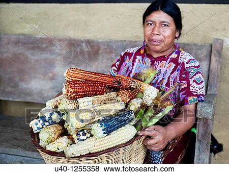 Guatemala, Mayan woman with corn harvest View Large Photo Image Stock Photo - Guatemala, Mayan woman with corn harvest. Fotosearch
