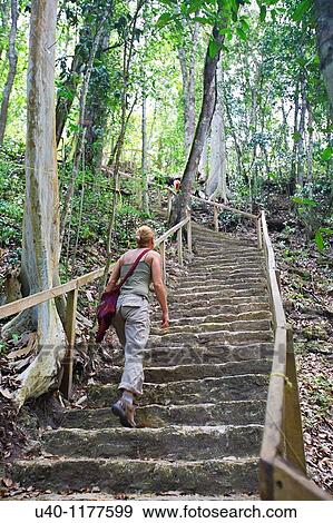 Stock Photo - Guatemala, Peten, El Mirador Basin, first platform of pyramid La Danta. Fotosearch