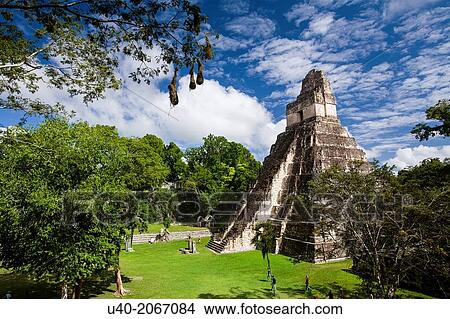 Guatemala, Tikal, Templo 1, Gran Jaguar. View Large Photo Image Picture - Guatemala, Tikal, Templo 1, Gran Jaguar.. Fotosearch