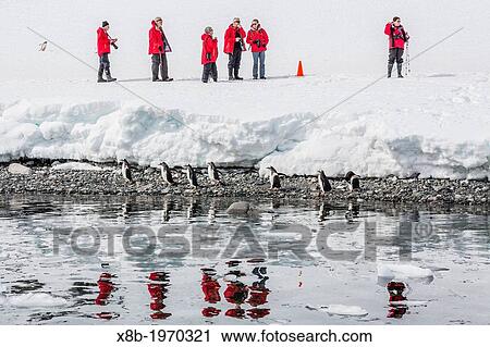Guest from the Lindblad Expedition ship National Geographic Explorer enjoy Cuverville Island, Antarctica, Southern Ocean. View Large Photo Image Stock Image - Guest from the Lindblad Expedition ship National Geographic Explorer enjoy Cuverville Island, Antarctica, Southern Ocean.. Fotosearch