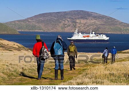 Picture - Guests from the Lindblad Expedition ship National Geographic Explorer on New Island, Falkland Islands, South Atlantic Ocean. Fotosearch