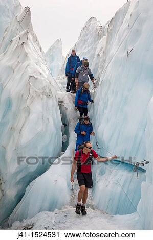 Guided tourist party wear crampons to walk through Franz Josef Glacier, Westland National Park, West Coast of South Island, New Zealand View Large Photo Image Stock Image - Guided tourist party wear crampons to walk through Franz Josef Glacier, Westland National Park, West Coast of South Island, New Zealand. Fotosearch
