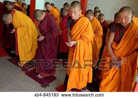 Gyegu monastery, Yushu, Qinghai province, China View Large Photo Image Stock Image - Gyegu monastery, Yushu, Qinghai province, China. Fotosearch