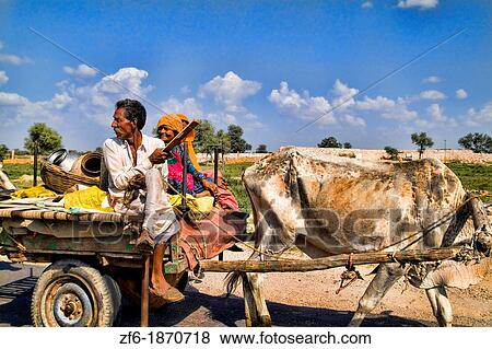 Gypsy family going by with cow driven cart to look for land at Great Indian Thar Desert in Jodhpur Rajasthan India View Large Photo Image Stock Photo - Gypsy family going by with cow driven cart to look for land at Great Indian Thar Desert in Jodhpur Rajasthan India. Fotosearch