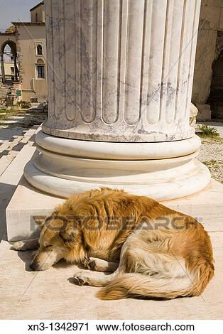 Hadrian's Library. Athens. Greece. View Large Photo Image Stock Image - Hadrian's Library. Athens. Greece.. Fotosearch