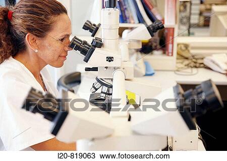 Stock Image - Haematology, 5 binocular microscope heads for multiple viewing. Hospital Universitario de Gran Canaria Doctor Negrin, Las Palmas de Gran Canaria. Canary Islands, Spain. Fotosearch