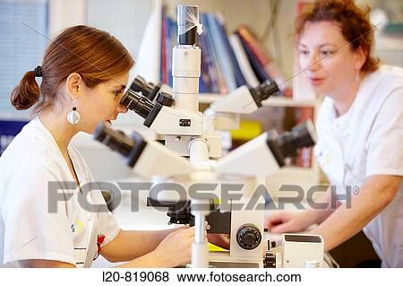 Stock Photo - Haematology, 5 binocular microscope heads for multiple viewing. Hospital Universitario de Gran Canaria Doctor Negrin, Las Palmas de Gran Canaria. Canary Islands, Spain. Fotosearch