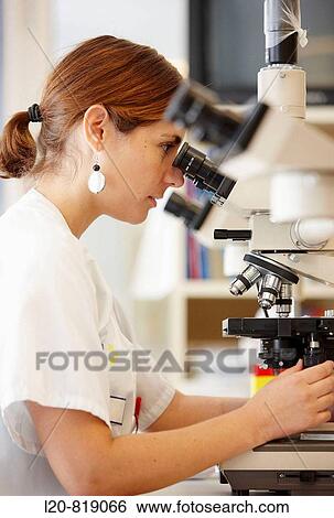 Stock Photograph - Haematology, 5 binocular microscope heads for multiple viewing. Hospital Universitario de Gran Canaria Doctor Negrin, Las Palmas de Gran Canaria. Canary Islands, Spain. Fotosearch
