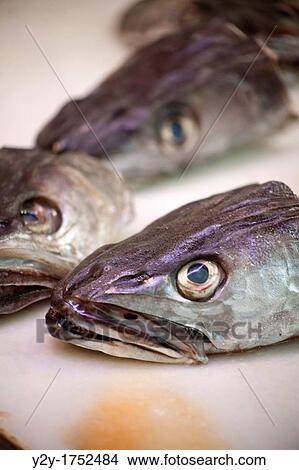Picture - Hake heads on the market. Fotosearch