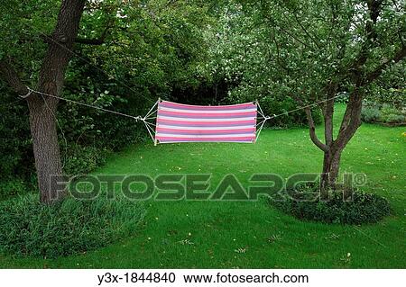 Hamac at Garden in Amsterdam View Large Photo Image Stock Image - Hamac at Garden in Amsterdam. Fotosearch