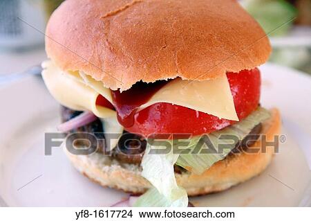 Hamburger on plate View Large Photo Image Picture - Hamburger on plate. Fotosearch