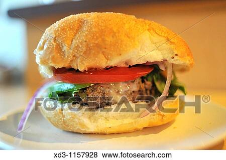 hamburger with cheese, lettuce, tomato, and onion View Large Photo Image Stock Photo - hamburger with cheese, lettuce, tomato, and onion. Fotosearch