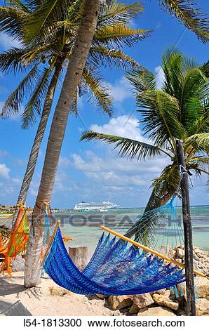 Hammock Costa Maya Mexico Beach Caribbean Cruise Ship Port View Large Photo Image Stock Image - Hammock Costa Maya Mexico Beach Caribbean Cruise Ship Port. Fotosearch