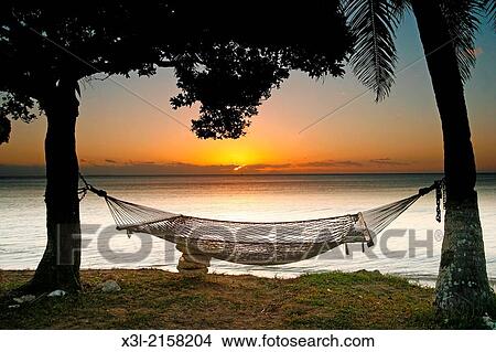 Hammock. Lifuka island. Ha? apai islands. Tonga. Polynesia. View Large Photo Image Picture - Hammock. Lifuka island. Ha? apai islands. Tonga. Polynesia.. Fotosearch