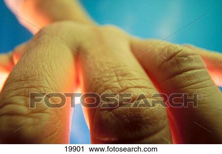Hand-close up View Large Photo Image Stock Image - Hand-close up. Fotosearch